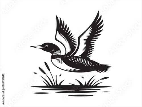 Obraz na plátně Vector bird loon fly wildlife animal drawing icon silhouette