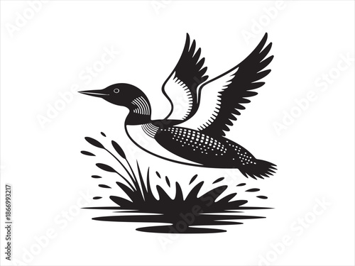 Vector bird loon fly wildlife animal drawing icon silhouette