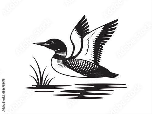 Schilderij op canvas Flying Loon Water silhouette, Duck or loon silhouette vector art, Duck or loon v