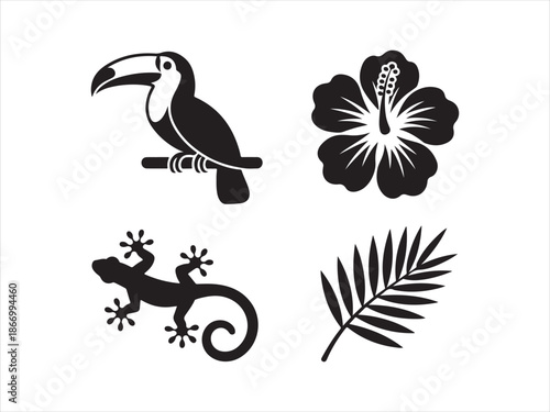 Tropical flora and fauna icon set. Solid glyph symbols collection. Toucan bird, hibiscus flower, gecko lizard, palm leaf