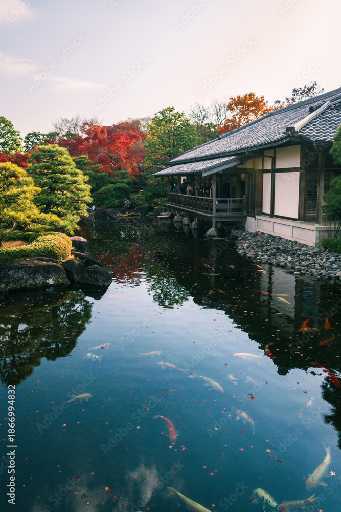 Obraz premium Vibrant autumn maple leaves in Koko-en Garden, Himeji, Japan.
