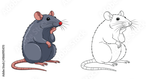 Thoughtful gray rat sits in a pondering pose with its hand on its chin, featured in both a colored illustration and a matching line art drawing.