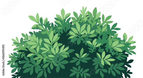 Dense green bush with numerous small leaves is depicted in various shades of green against a white background to represent garden foliage.