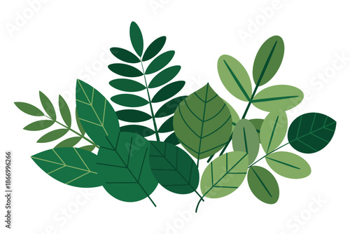 A vibrant collection of green leaves on a white background