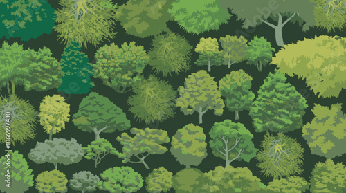 Generate a collection of top-down, stylized illustrations of various trees, presented in an organized grid format