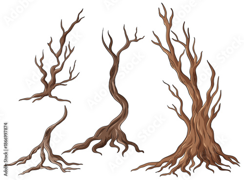 Four gnarled, leafless tree trunks with twisted branches, earthy tones, isolated on white background