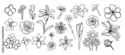 minimal line flower and botanical graphic sketch drawing, trendy tiny tattoo design, floral elements vector illustration
