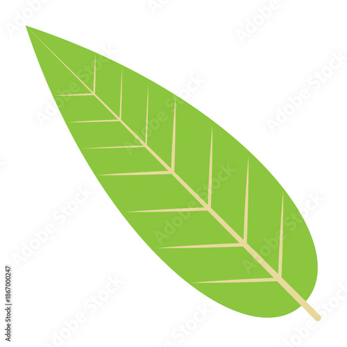 Vector graphic icon for Leaf