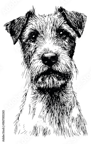Hand drawn line art illustration of a terrier dog depicting a headshot portrait for pet themed designs