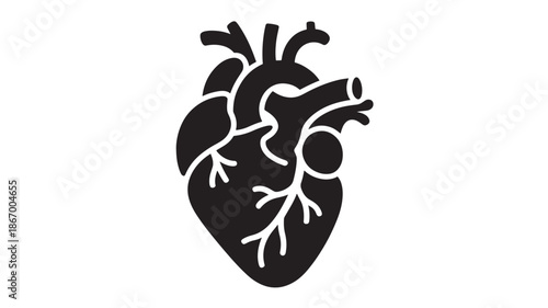 Anatomical Heart Illustration in Simple Style with Black and White Color on Plain Background for Medical Education