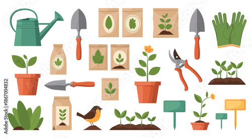 Large collection of gardening tools and items including a watering can seeds plants in pots gloves and a trowel.