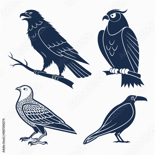 Silhouettes of various birds of prey