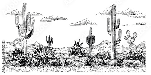 Hand drawn illustration of a desert landscape depicting saguaro and prickly pear cacti for western design