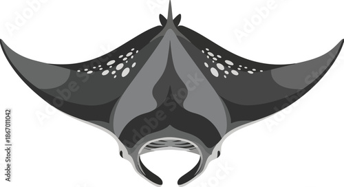 Elegant Black and White Illustration of a Manta Ray Swimming Underwater