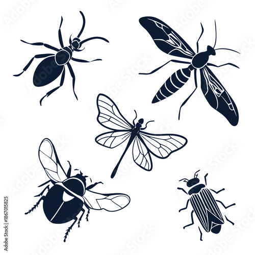 Silhouette of various insects