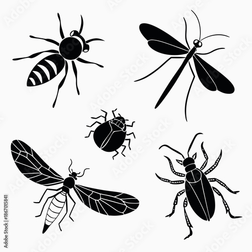Illustration of various insects