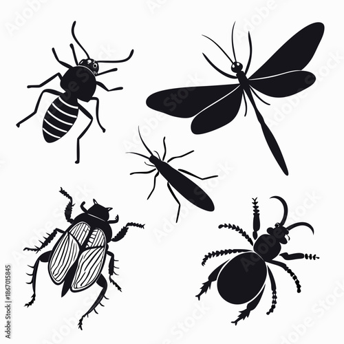 Silhouettes of various insects