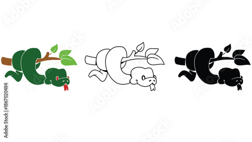 Snake hanging from tree branch in different colors