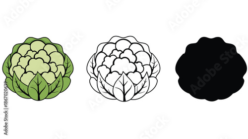 Cauliflower illustrations in color, line art, and silhouette