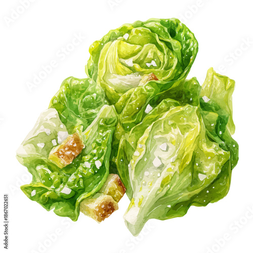Watercolor Caesar Salad vector, artistic painting style, high-resolution illustration on a pure white background.