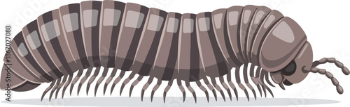Illustration of a Millipede A Detailed, Close-up View Depicting the Arthropod with Many Legs