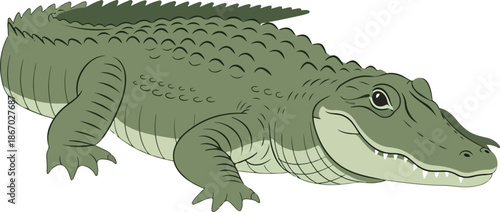 Detailed illustration of an alligator, showcasing its textured skin, powerful jaws, and aquatic habitat
