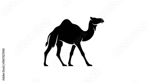 Silhouette of a majestic camel walking across a white background.