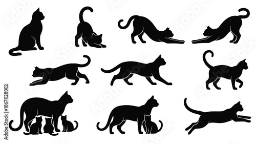 Variety of cat poses displayed in a striking black silhouette
