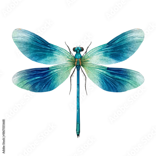 Watercolor Damselfly vector, artistic painting style, high-resolution illustration on a pure white background.