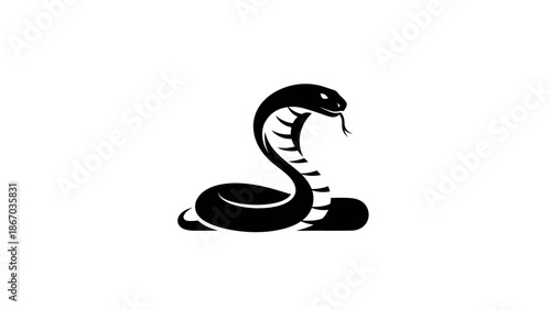Striking Black Cobra Silhouette with Hood Extended and Tongue Flicking.