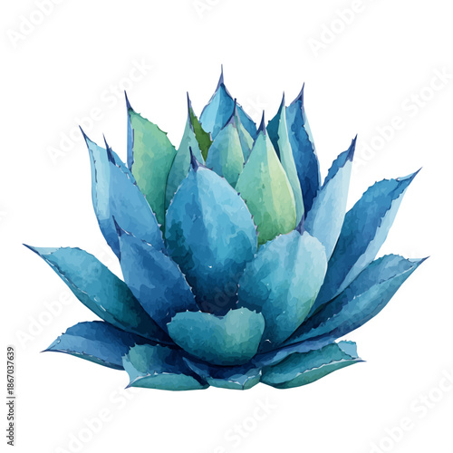 Blue Agave watercolor vector illustration, high-quality artwork isolated on a pure white background.