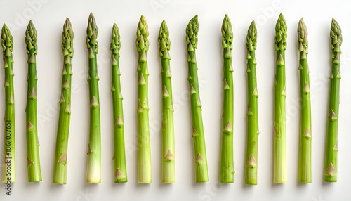 Fresh asparagus spears aligned neatly