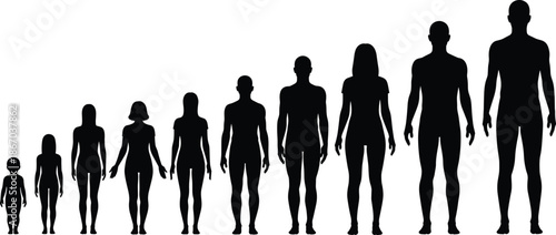Human growth and age progression silhouette chart showing people development stages from child to adult in black and white illustration