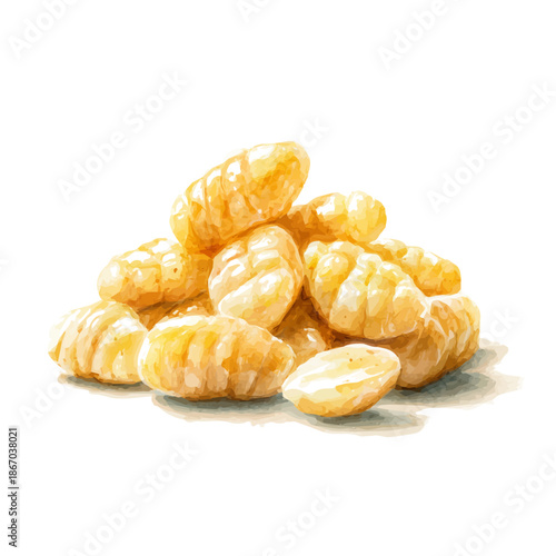 Gnocchi watercolor vector, hand-painted style, high-quality illustration isolated on white background.