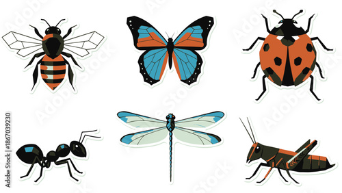Insect Sticker Pack Featuring Butterfly, Beetle, and Dragonfly Illustrations in a White Background