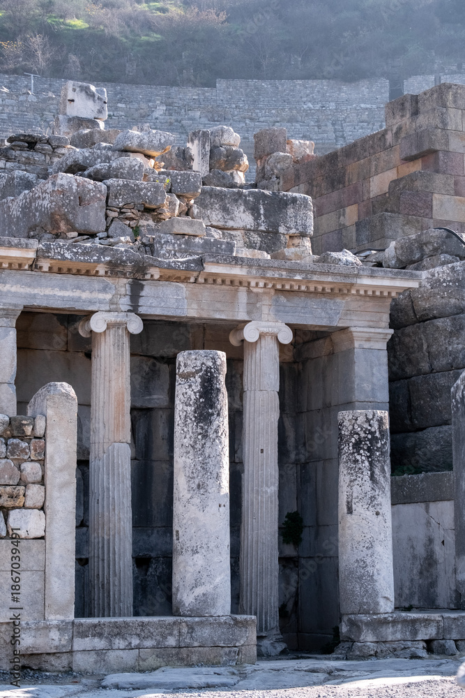 Fototapeta premium Ancient Stone Columns and Ruins in Ephesus, Turkey