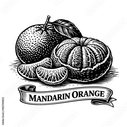 Classic Black and White Woodcut of Whole and Peeled Mandarin Orange.