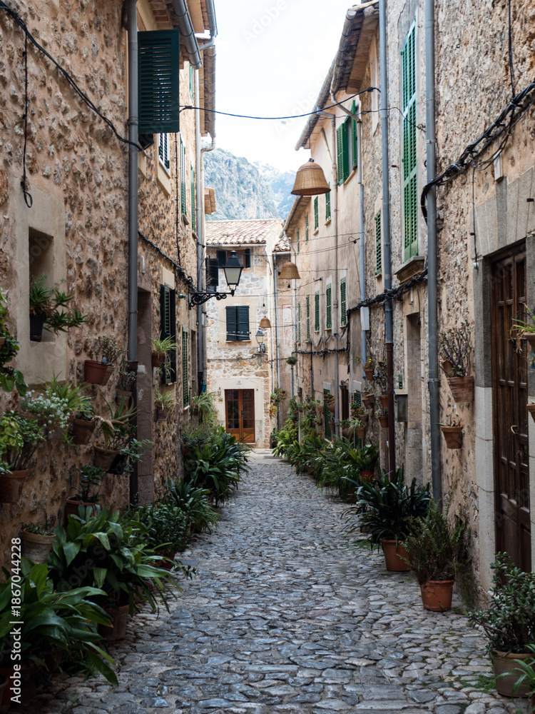 Fototapeta premium Cobblestone Street, Potted Plants, Mallorca
