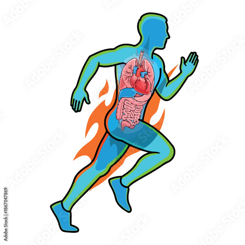 Illustration of a blue human figure running with exposed internal organs and flames behind, on a white background.