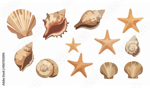 Seashell and starfish watercolor clipart set with marine animals for summer and beach designs