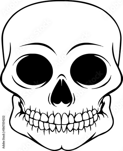 human skull vector illustration hand drawn sketch isolated on white background