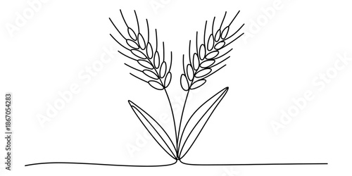 A simple black outline drawing of two wheat stalks representing agriculture and harvest Vector, illustration