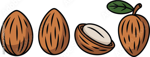 Almond Nut Illustration Set with Whole, Half, and Shelled VarietiesAlmond Nut Illustration Set with Whole, Half, and Shelled Varieties