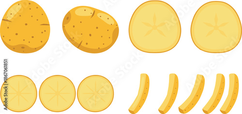 Potato vegetable vector illustration set showing whole potatoes slices rounds and fries fresh food isolated on white background