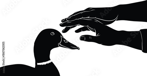 Silhouette of duck with two human hands approaching gently, black and white illustration, transparent background