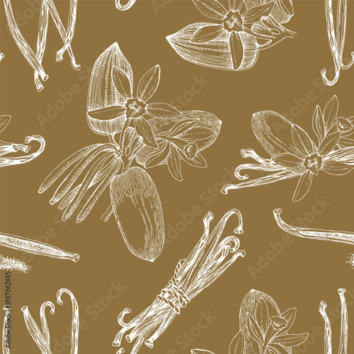 Vanilla hand drawn seamless pattern