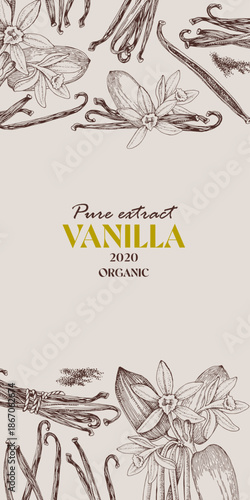 Vanilla vector vertical banner template