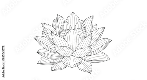 Detailed line art drawing of a lotus flower in full bloom showing multiple layers of pointed petals and intricate shading on white background.
