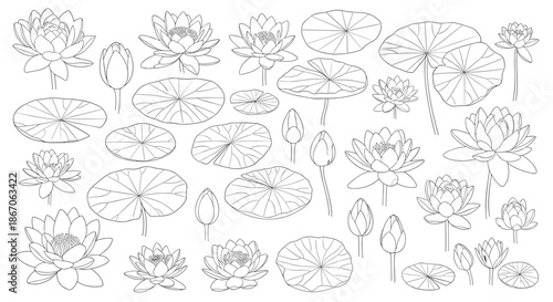 Comprehensive set of various lotus flowers and lily pads in different stages of bloom rendered in clean black and white line art style.