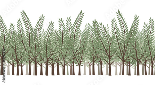 Decorative horizontal border featuring a dense row of stylized willow or olive trees with green leaves on a plain white background.
